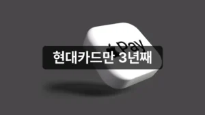 애플페이 논쟁 현대카드 단독 현황