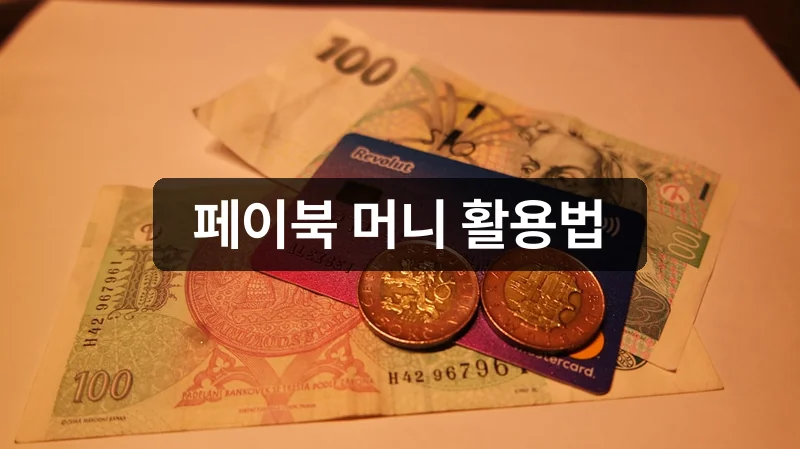 페이북 머니 사용 방법 안내