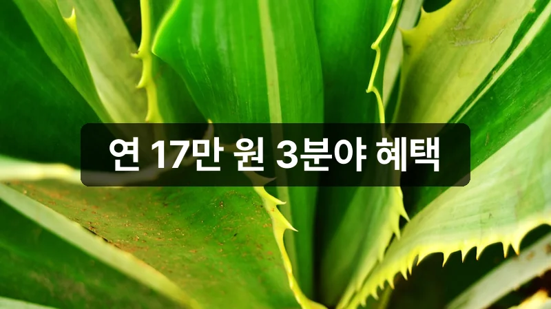 탄소중립포인트 신청방법 개요 이미지