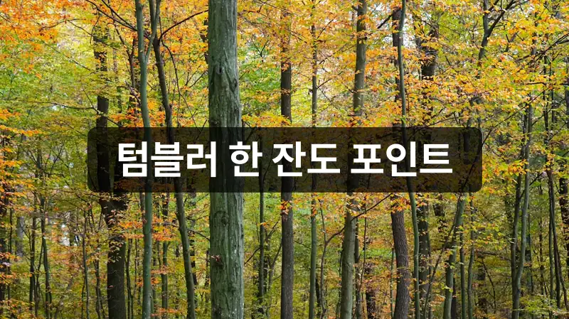 탄소중립포인트 녹색생활 실천 미션 이미지