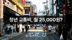 기후동행카드 청년권 환급 안내