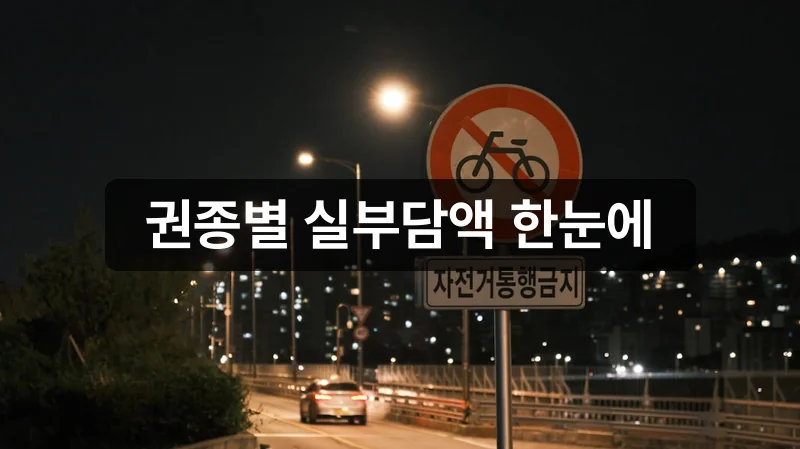 기후동행카드 권종별 실부담액 비교