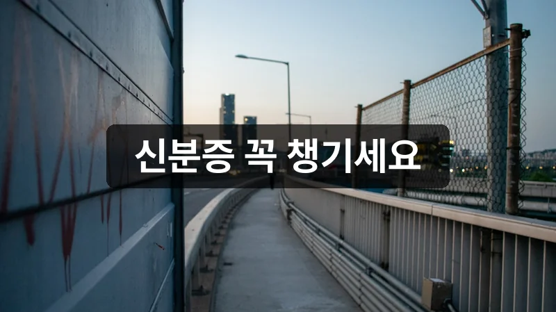 DMZ 평화이음 열차 탑승 필수 준비사항