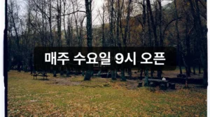 국립자연휴양림 예약 숲속 객실