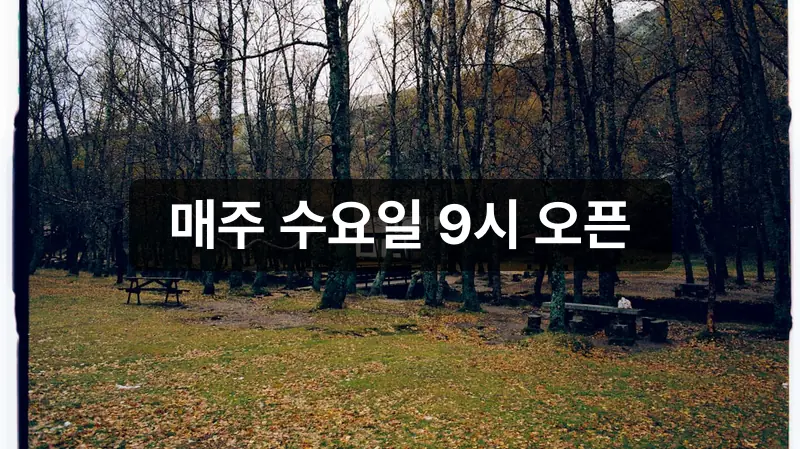 국립자연휴양림 예약 숲속 객실