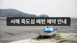 홍성 죽도 배편 예약 안내 이미지