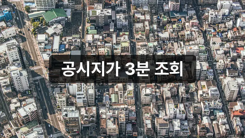 공시지가 조회 방법 아파트 도시 전경