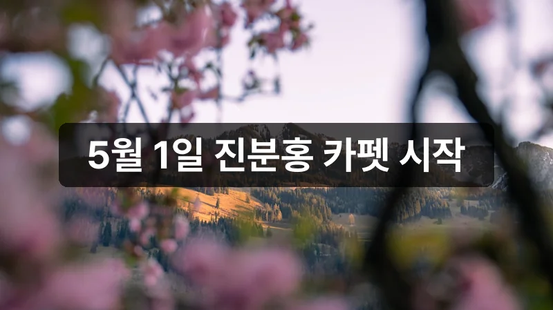 황매산 철쭉축제 개화 실시간 안내 이미지