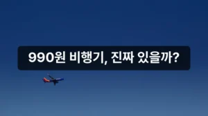 제주도 항공권 990원 특가 비행기 안내
