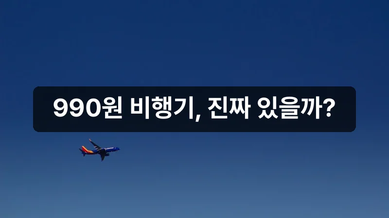 제주도 항공권 990원 특가 비행기 안내