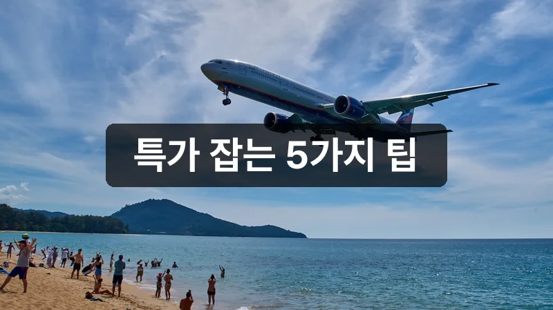 제주항공 티웨이 특가 예약 5가지 팁