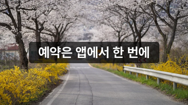 진해군항제 벚꽃 투어버스 카카오모빌리티 예약