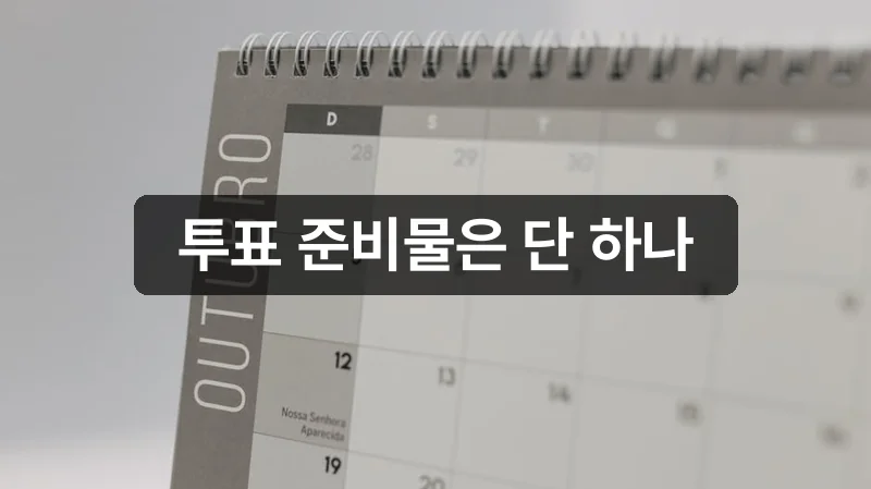 2026 지방선거 투표 준비물 신분증