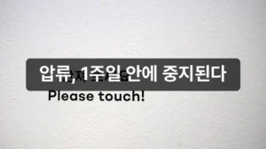 개인회생 신청 후 압류 중지 절차 안내