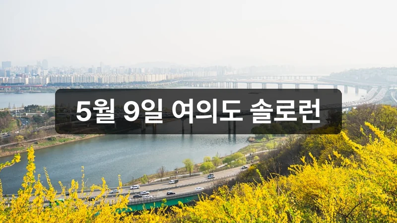 나는 솔로런 신청 방법과 5월 9일 여의도 대회 안내