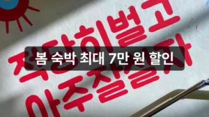 숙박세일페스타 봄 쿠폰 할인 안내