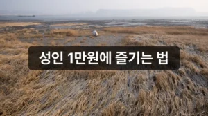 순천만 국가정원 입장료 안내