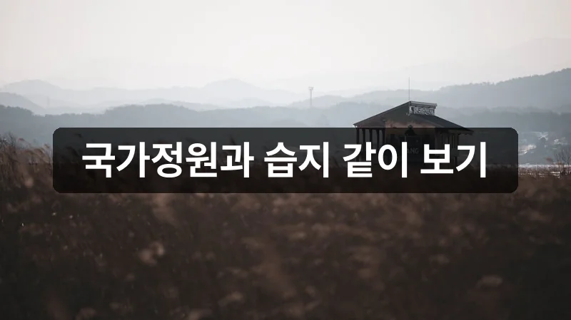 순천만 국가정원과 습지 통합권 관람