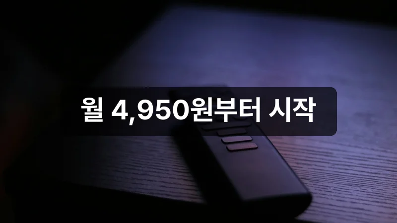 티빙 구독권 할인 구매 방법 요금제 안내