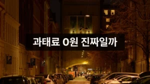 차량 5부제 처벌 과태료 안내 이미지