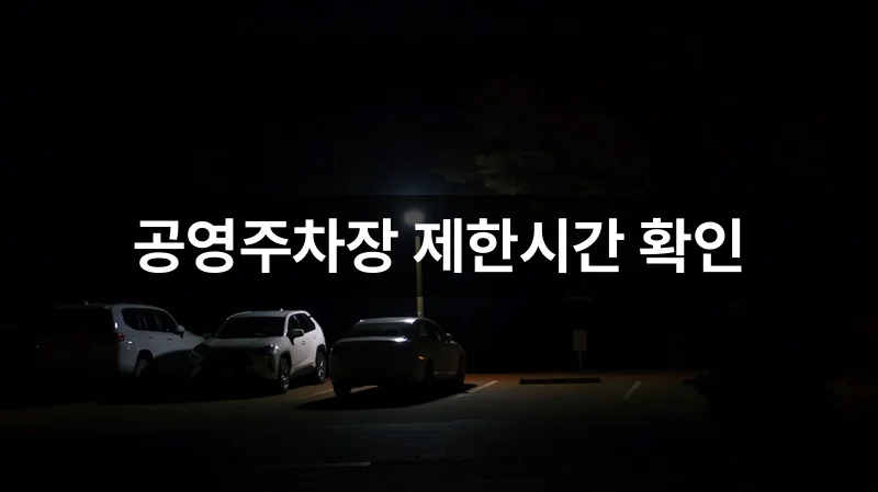 공공기관 공영주차장 5부제 적용 차이 이미지