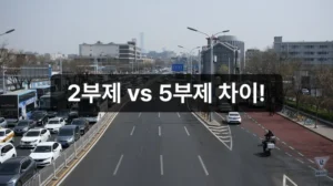 차량 2부제 공영주차장 5부제 차이 안내
