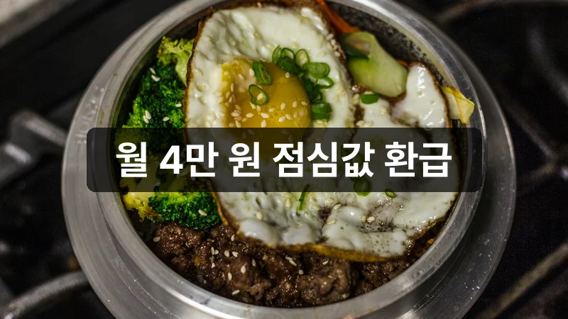 청년식비지원 신청 한끼 점심 안내