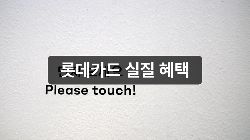 롯데카드만의 카드 실적 포함 혜택 안내