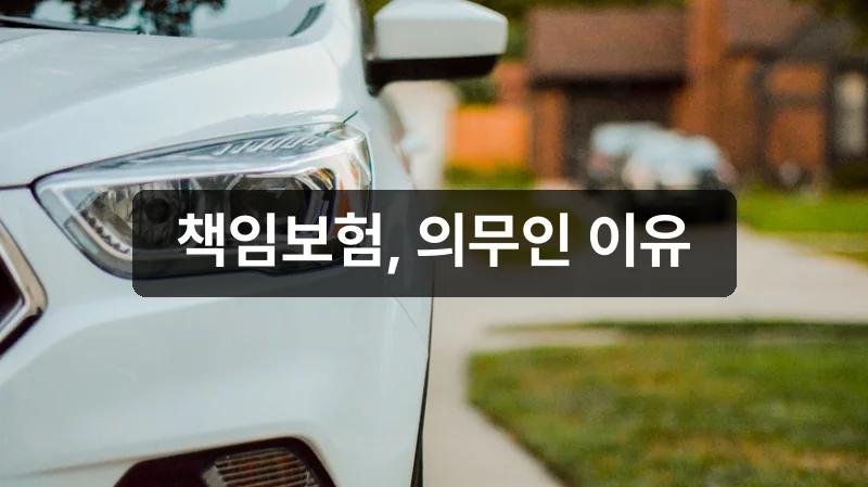 자동차 책임보험 의무가입 개념 안내
